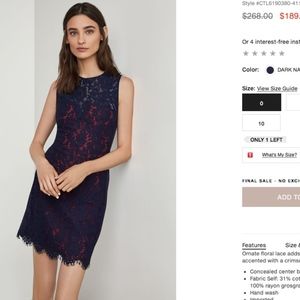 BCBG: Scalloped Lace Sheath Dress